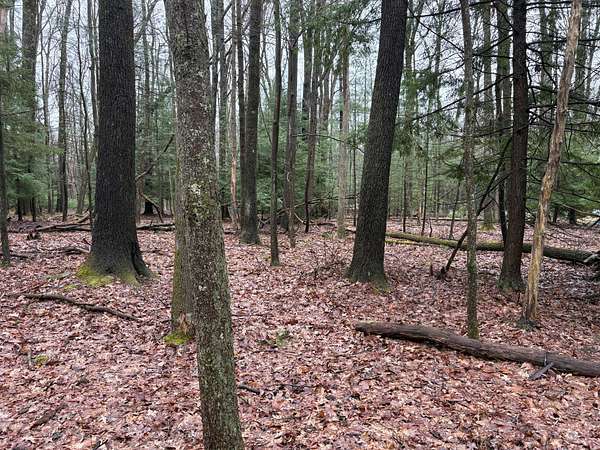 2 Acres of Residential Land for Sale in Sigel, Pennsylvania