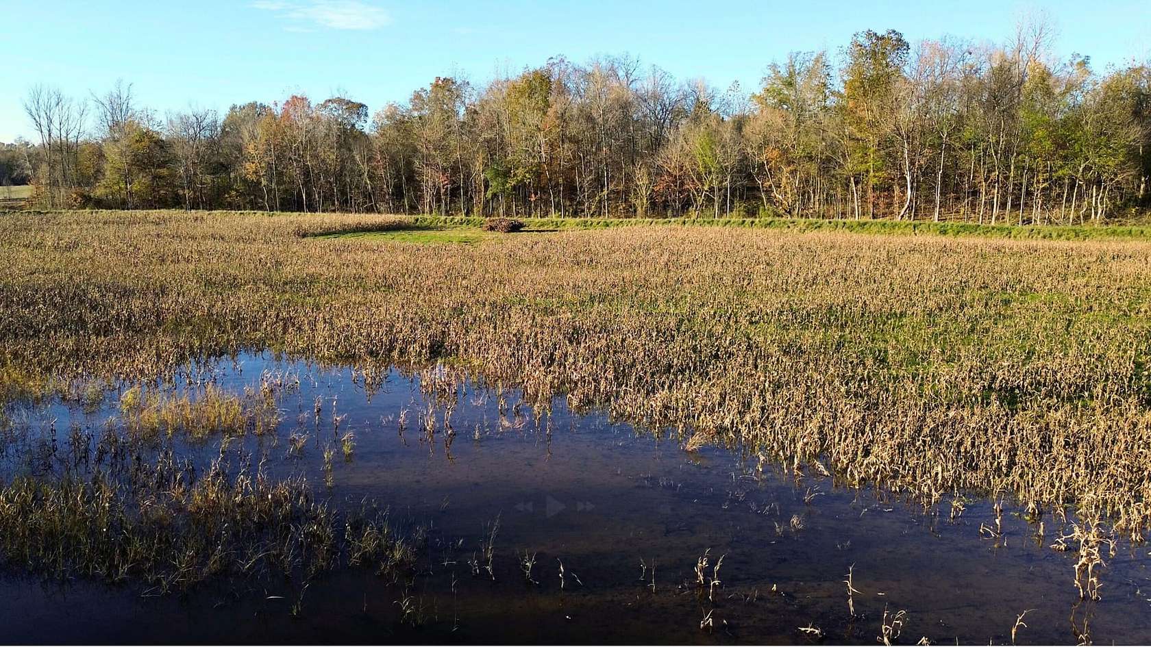 21.6 Acres of Recreational Land & Farm for Sale in Big Sandy, Tennessee