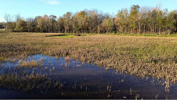 21.6 Acres of Recreational Land & Farm for Sale in Big Sandy, Tennessee