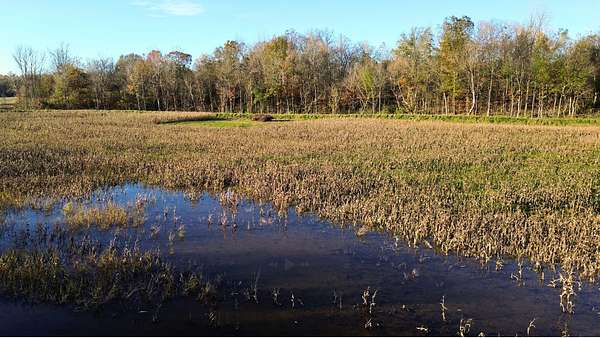 21.6 Acres of Land for Sale in Big Sandy, Tennessee