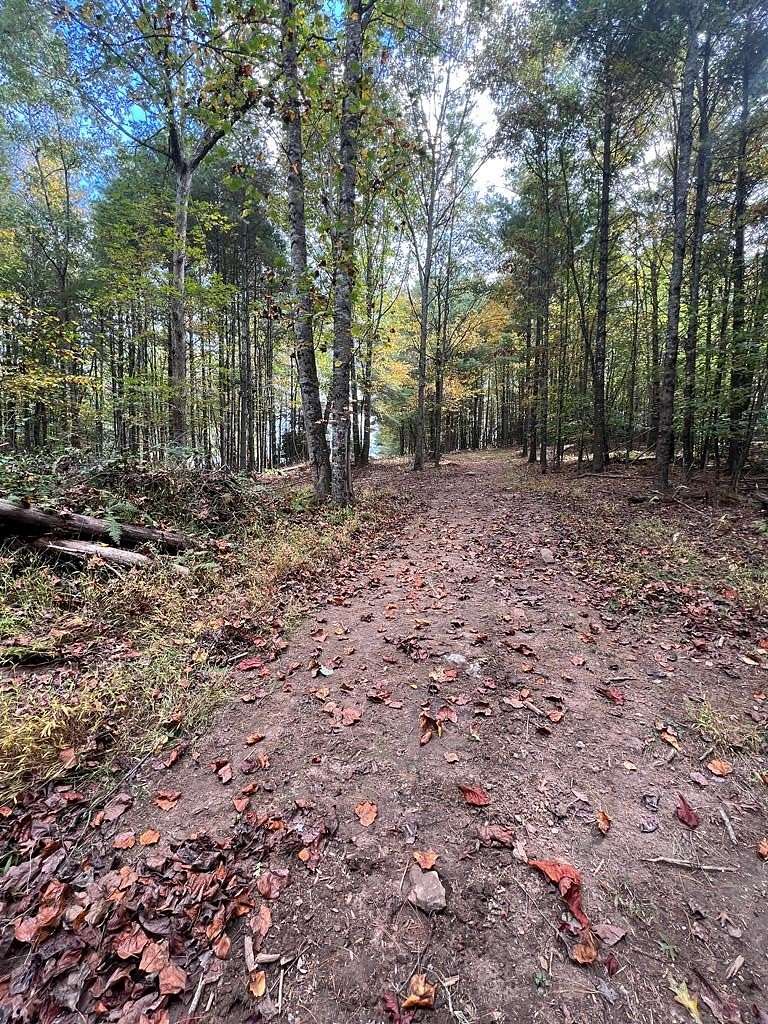 1 Acre of Land for Sale in Fancy Gap, Virginia