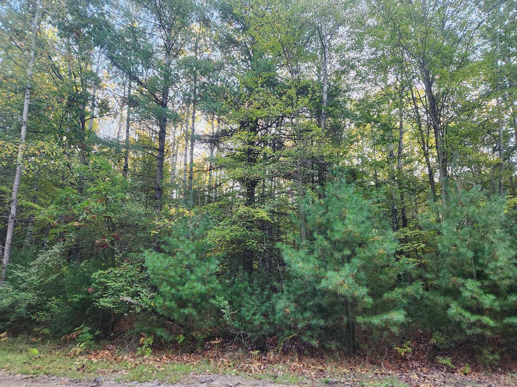 0.45 Acres of Land for Sale in Stanwood, Michigan