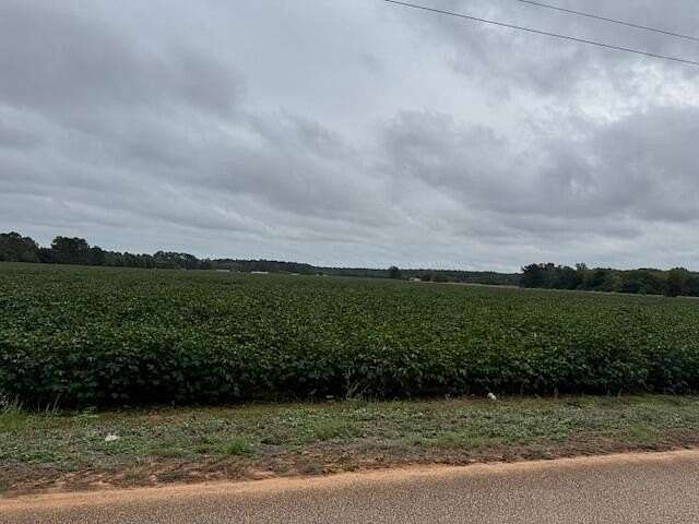 38 Acres of Land for Sale in Wedgefield, South Carolina