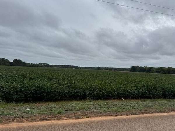 38 Acres of Land for Sale in Wedgefield, South Carolina