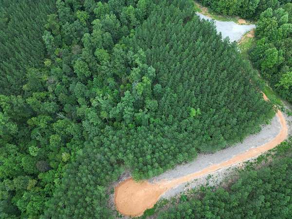 12 Acres of Land for Sale in Linden, Tennessee