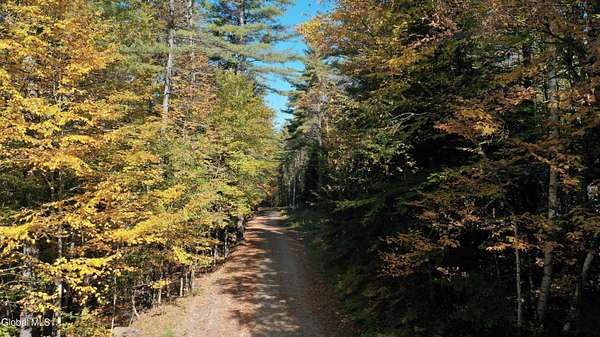 42.8 Acres of Recreational Land for Sale in Johnsburg, New York