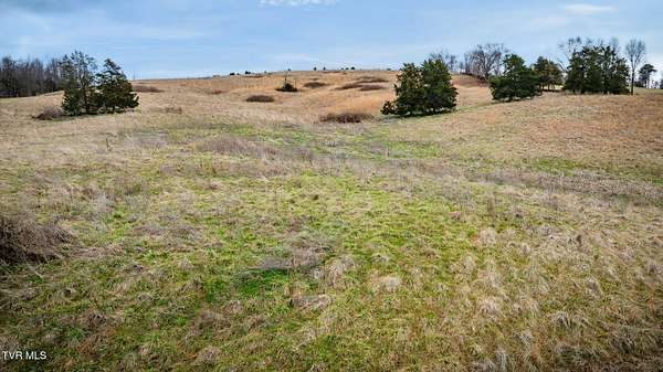 6 Acres of Land for Sale in Jonesborough, Tennessee