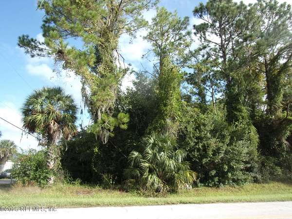 1.4 Acres of Land for Sale in Satsuma, Florida