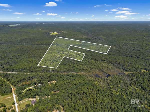 320 Acres of Recreational Land for Sale in Chunchula, Alabama
