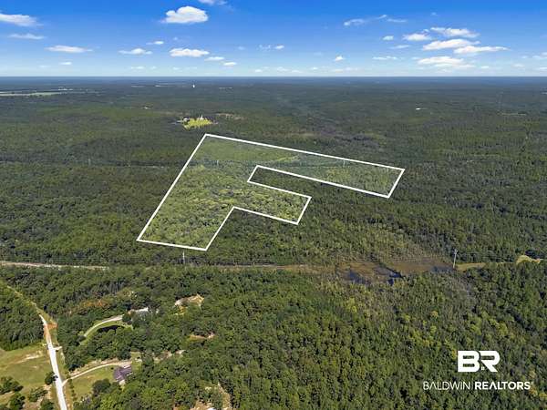 320 Acres of Recreational Land for Sale in Chunchula, Alabama