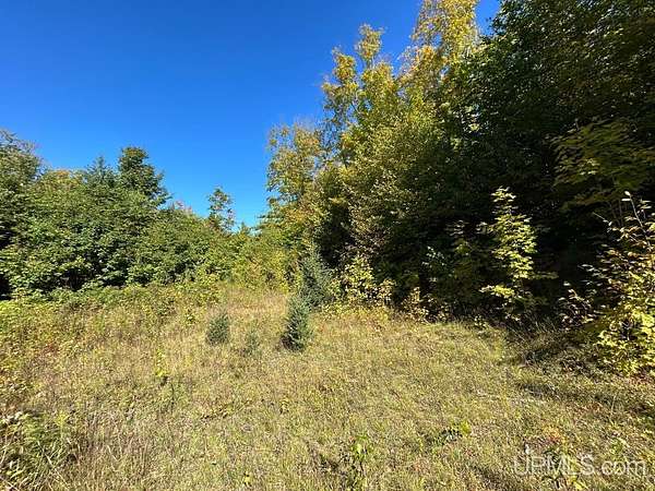 40 Acres of Recreational Land for Sale in Shingleton, Michigan