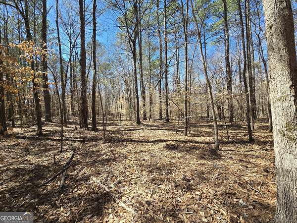 3.1 Acres of Residential Land for Sale in Covington, Georgia