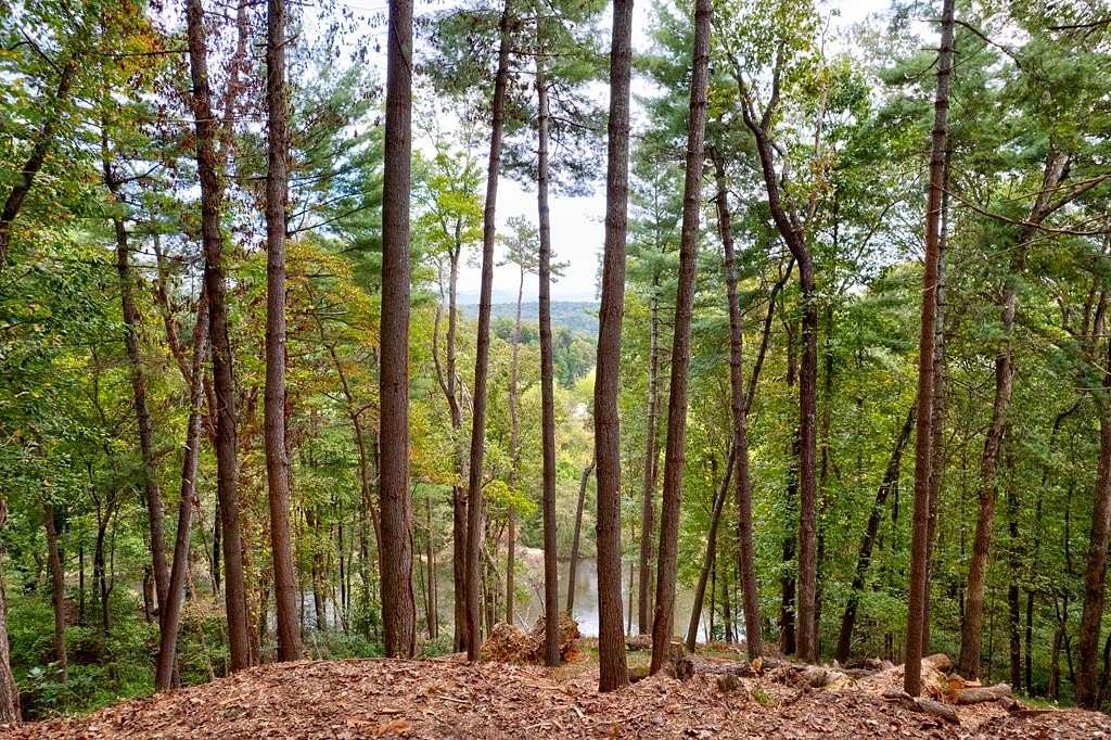 2.82 Acres of Residential Land for Sale in Ellijay, Georgia