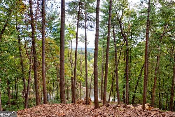 2.82 Acres of Land for Sale in Ellijay, Georgia