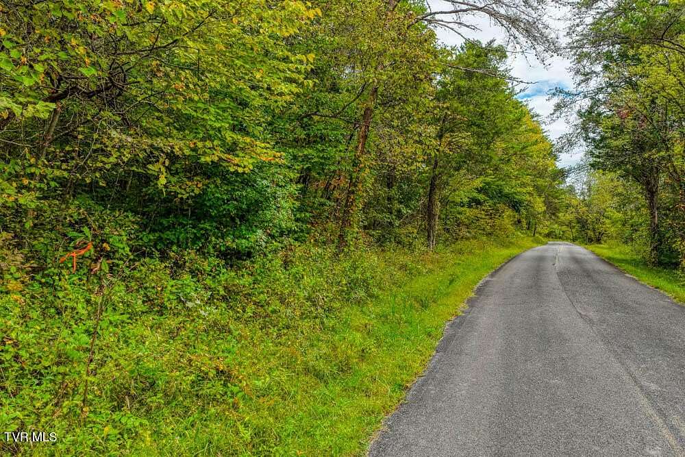 39 Acres of Land for Sale in Rogersville, Tennessee