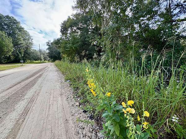 0.24 Acres of Residential Land for Sale in Trenton, Florida