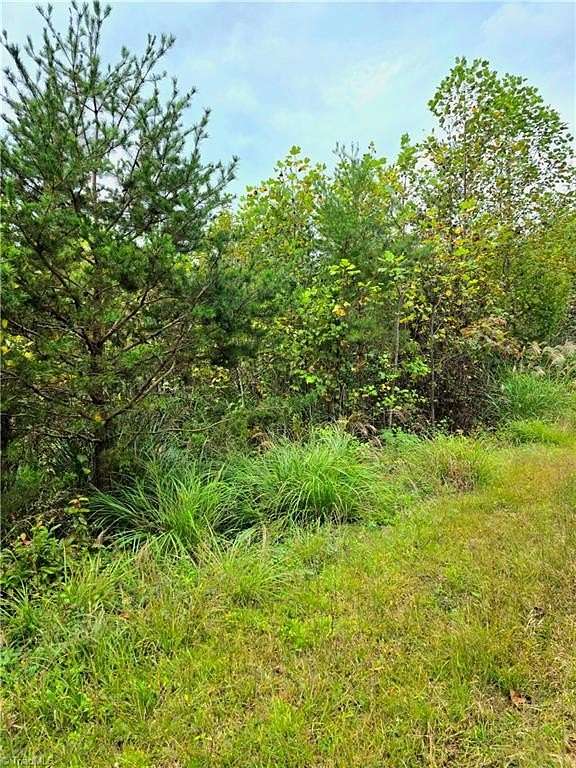 0.39 Acres of Residential Land for Sale in North Wilkesboro, North Carolina