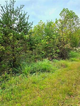 0.39 Acres of Residential Land for Sale in North Wilkesboro, North Carolina