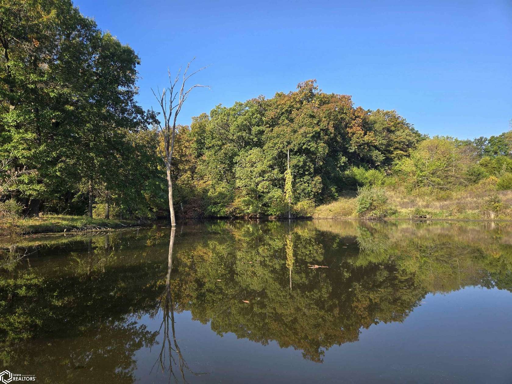 176 Acres of Recreational Land & Farm for Sale in Floris, Iowa