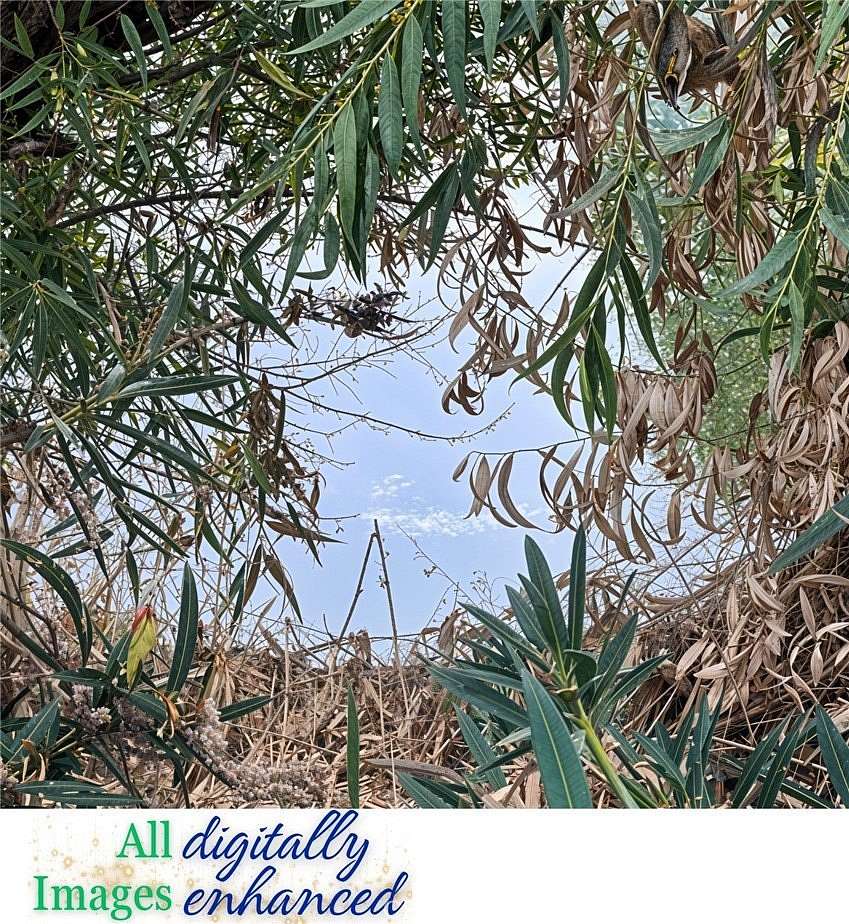 1.22 Acres of Residential Land for Sale in Clearlake Oaks, California