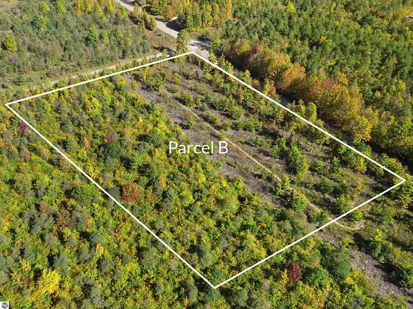 5 Acres of Residential Land for Sale in Beulah, Michigan