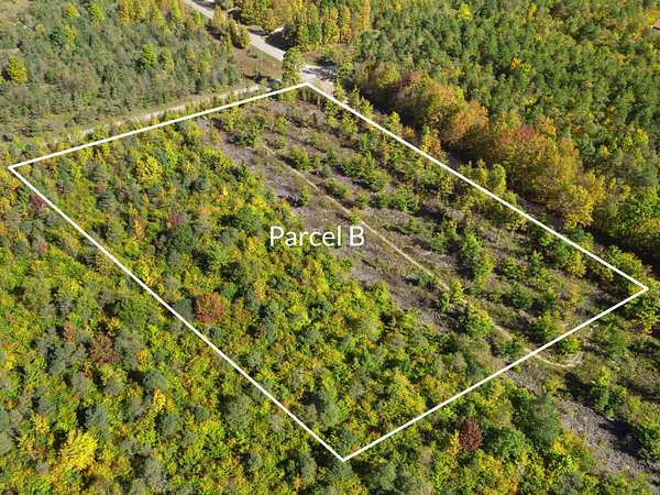 5 Acres of Residential Land for Sale in Beulah, Michigan