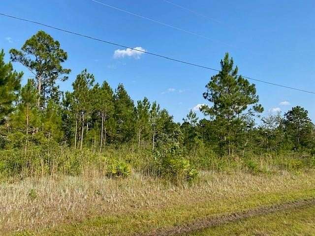 1 Acre of Residential Land for Sale in Naylor, Georgia