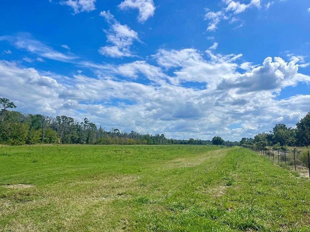 96 Acres of Land for Sale in Ray City, Georgia