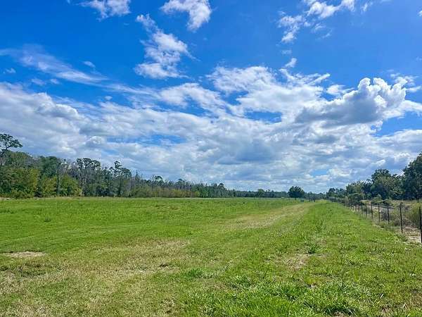 96 Acres of Agricultural & Residential Land for Sale in Ray City, Georgia