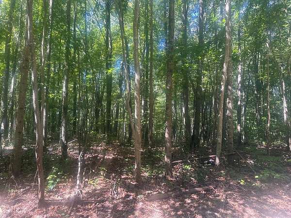 6.3 Acres of Residential Land for Sale in Fayetteville, West Virginia