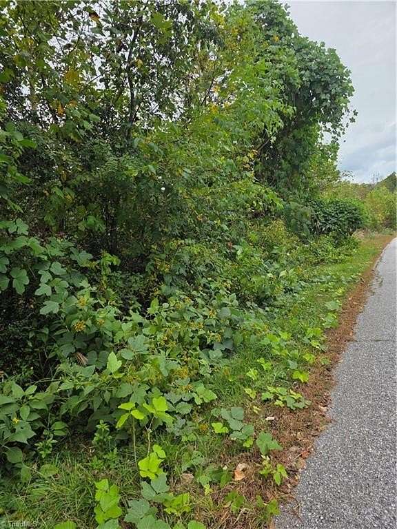 0.39 Acres of Residential Land for Sale in North Wilkesboro, North Carolina
