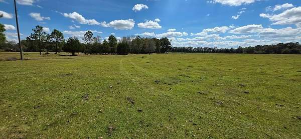 5.8 Acres of Residential Land for Sale in Cottonwood, Alabama