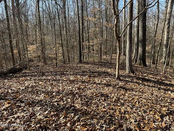 1 Acre of Residential Land for Sale in Hernando, Mississippi