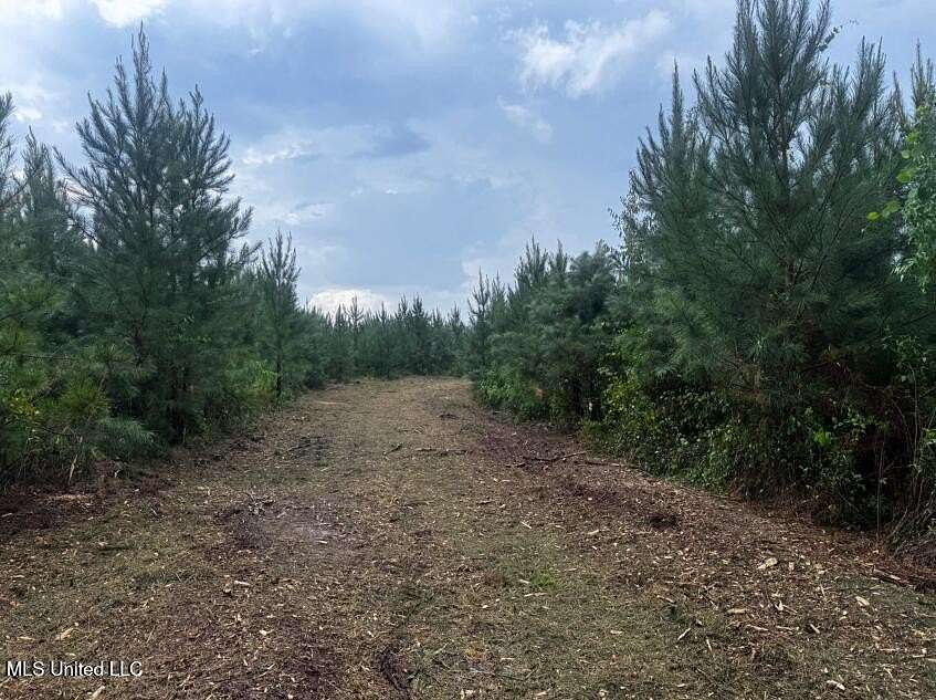 7 Acres of Residential Land for Sale in Braxton, Mississippi