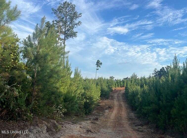 15.3 Acres of Land for Sale in Braxton, Mississippi