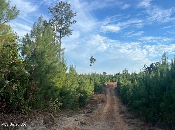 15.3 Acres of Land for Sale in Braxton, Mississippi