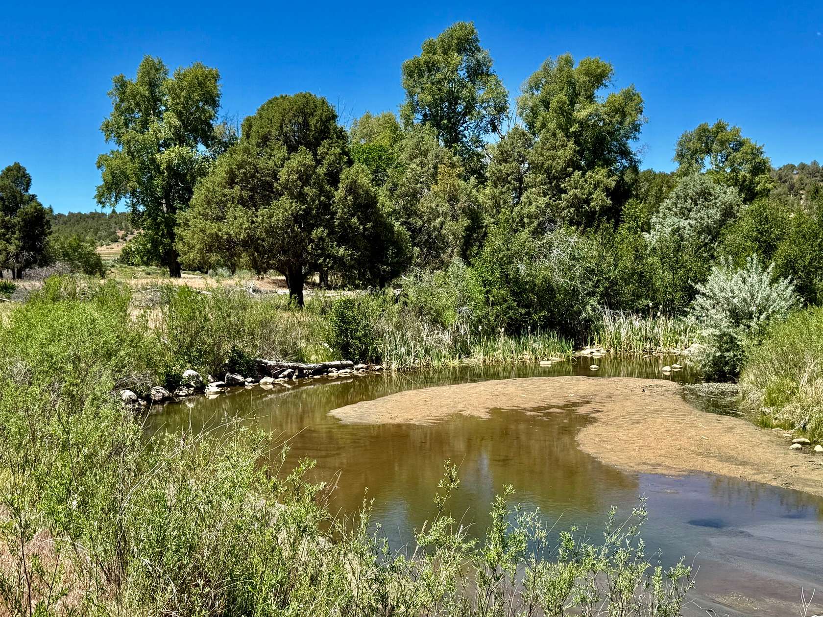 19.9 Acres of Land for Sale in Durango, Colorado