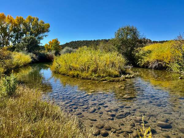 19.9 Acres of Land for Sale in Durango, Colorado