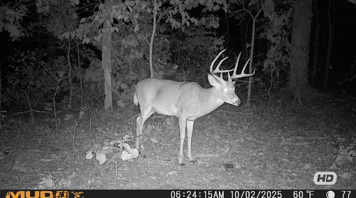 77 Acres of Recreational Land & Farm for Sale in Camdenton, Missouri