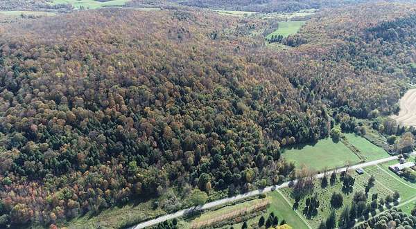 130 Acres of Recreational Land for Sale in West Winfield, New York