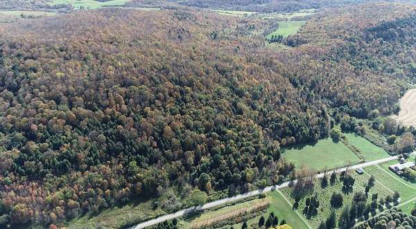 130 Acres of Recreational & Residential Land for Sale in West Winfield, New York