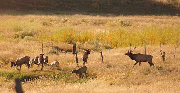 81.4 Acres of Recreational Land for Sale in Norwood, Colorado