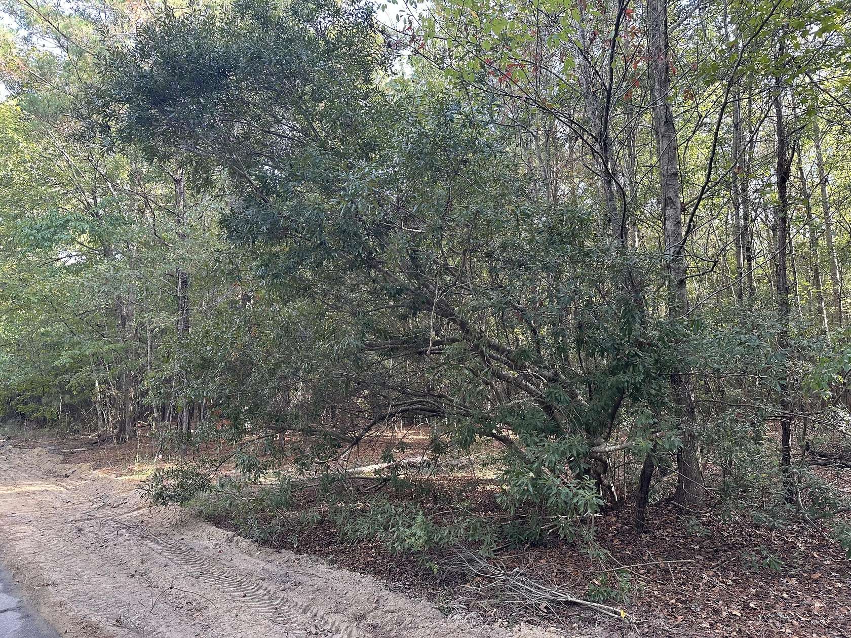 1.35 Acres of Residential Land for Sale in Summerton, South Carolina