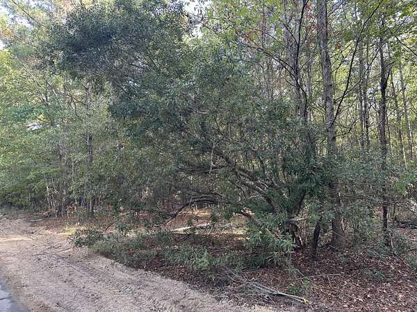 1.35 Acres of Residential Land for Sale in Summerton, South Carolina