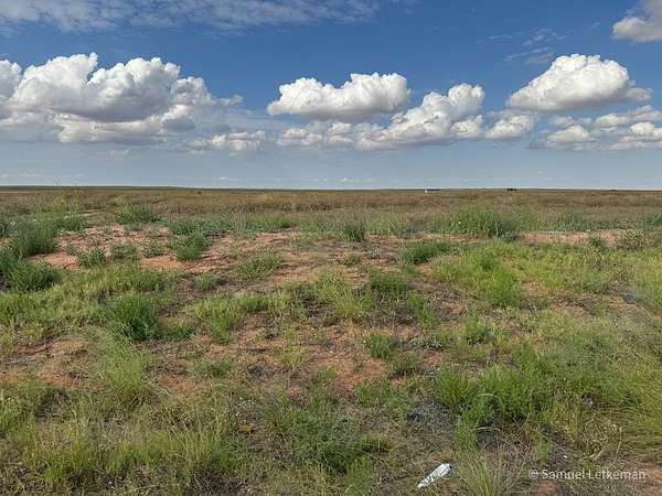 5 Acres of Residential Land for Sale in Seminole, Texas