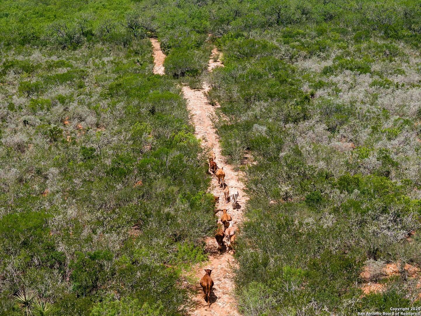 200 Acres of Recreational Land for Sale in San Diego, Texas