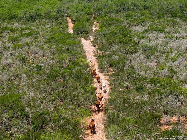 200 Acres of Recreational Land for Sale in San Diego, Texas