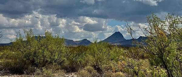 5.5 Acres of Land for Sale in Terlingua, Texas