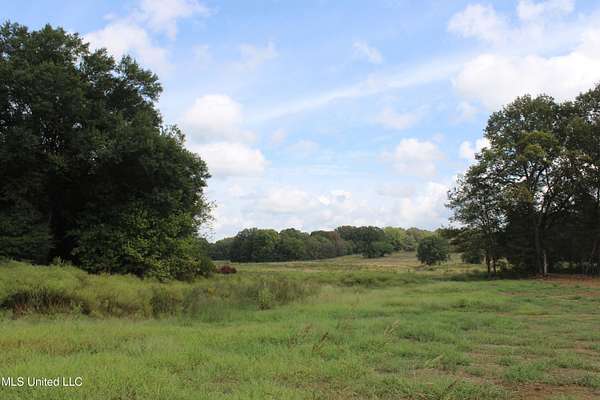 3.29 Acres of Residential Land for Sale in Hernando, Mississippi
