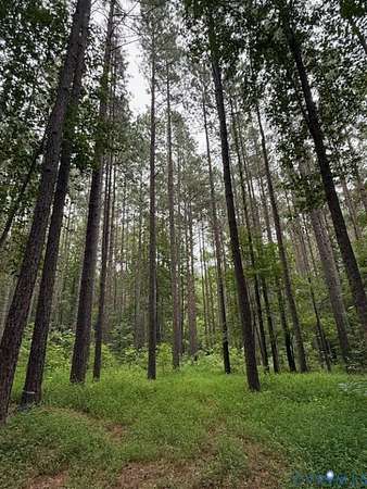 13 Acres of Recreational Land for Sale in Amelia Court House, Virginia